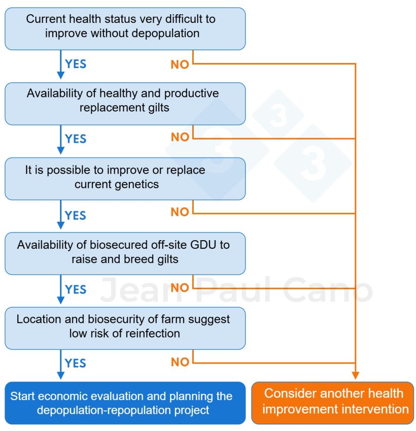 Figure 1. Decision tree to assess the feasibility of carrying out a depopulation&ndash;repopulation project.&nbsp;Is depopulation-repopulation of interest to my farm?
